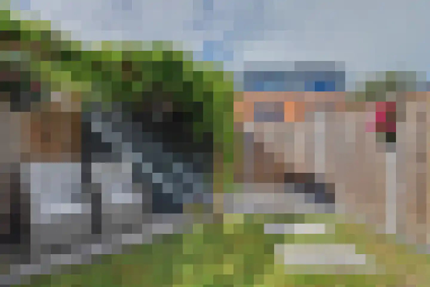 Appelgaarde 22 Hendrik-Ido-Ambacht thumbnail 33