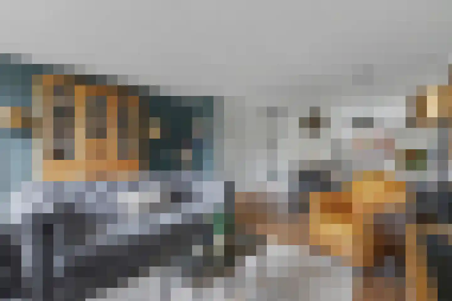 Appelgaarde 22 Hendrik-Ido-Ambacht thumbnail 9