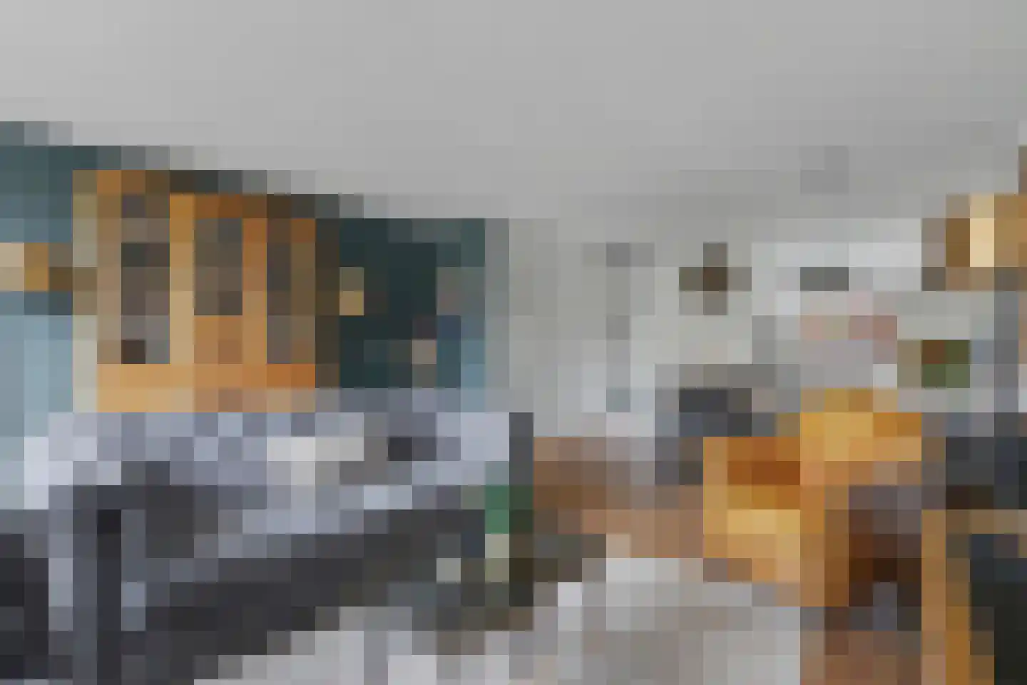 Appelgaarde 22 Hendrik-Ido-Ambacht thumbnail 9
