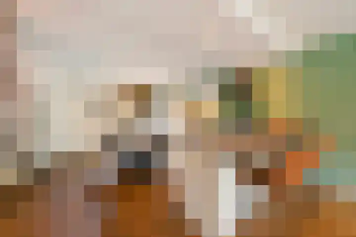 Appelgaarde 23 Voorburg thumbnail 13