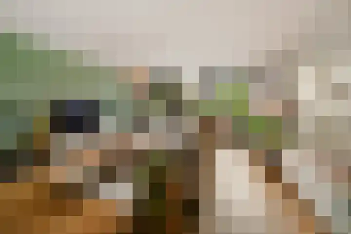 Appelgaarde 23 Voorburg thumbnail 14