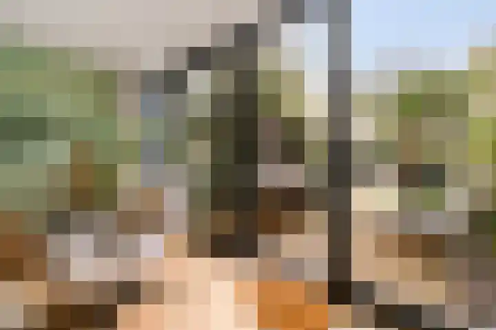 Appelgaarde 23 Voorburg thumbnail 18