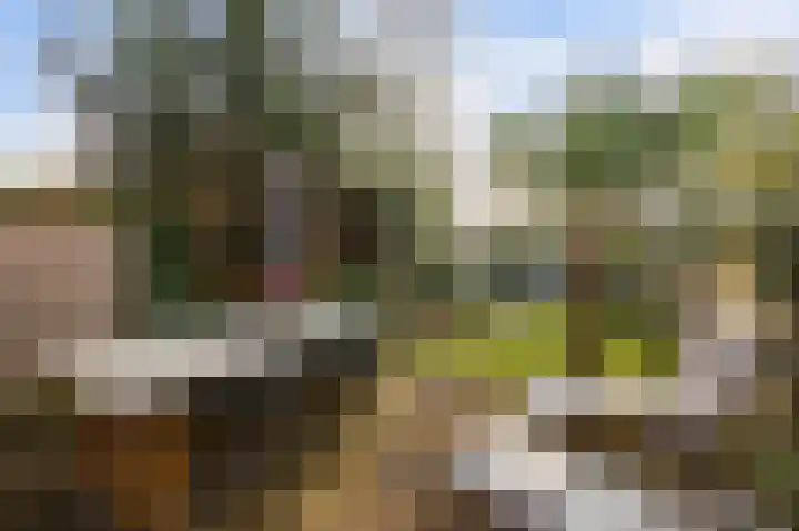Appelgaarde 23 Voorburg thumbnail 19