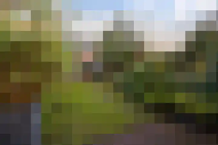 Appelgaarde 23 Voorburg thumbnail 22