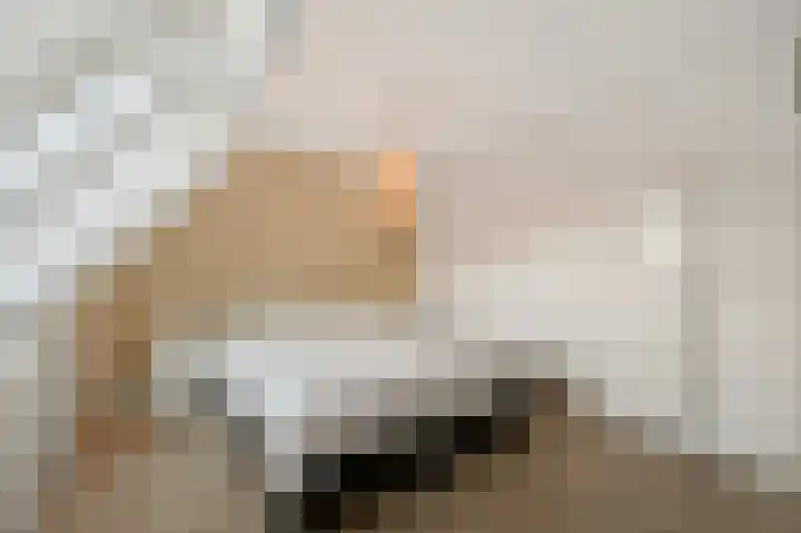 Appelgaarde 23 Voorburg thumbnail 26