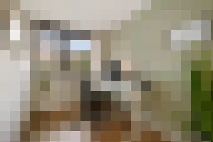Appelgaarde 23 Voorburg thumbnail 32