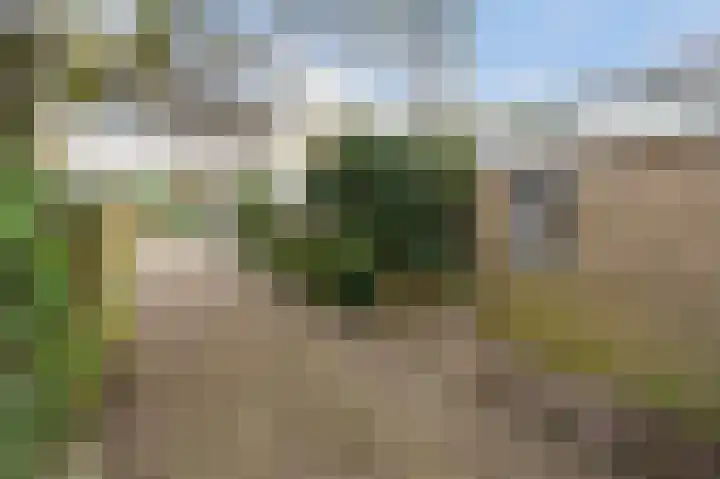 Appelgaarde 23 Voorburg thumbnail 35