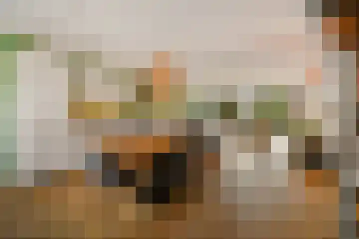 Appelgaarde 23 Voorburg thumbnail 7