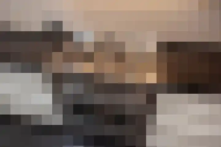 Appelgaarde 249 Voorburg thumbnail 11