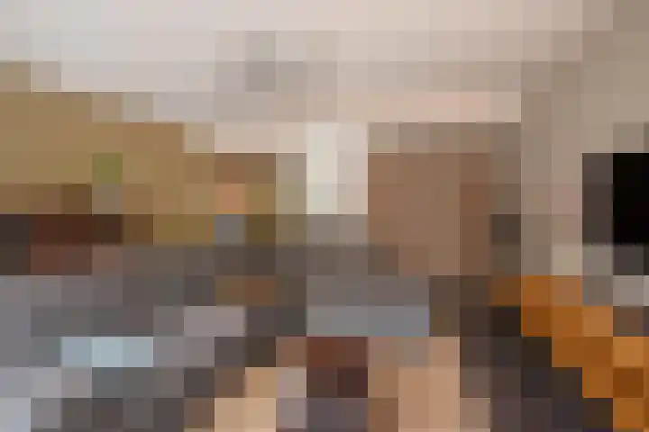Appelgaarde 249 Voorburg thumbnail 13