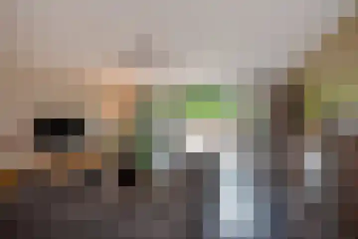 Appelgaarde 249 Voorburg thumbnail 14