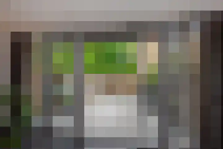 Appelgaarde 249 Voorburg thumbnail 15