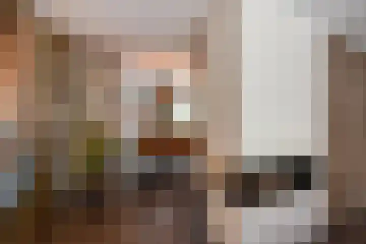 Appelgaarde 249 Voorburg thumbnail 17