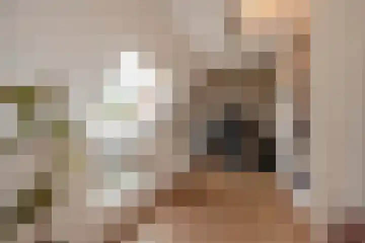 Appelgaarde 249 Voorburg thumbnail 19