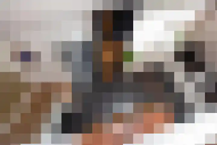 Appelgaarde 249 Voorburg thumbnail 21