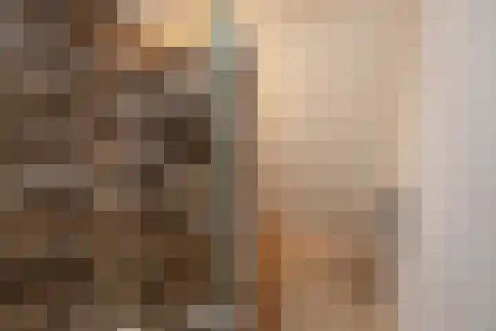 Appelgaarde 249 Voorburg thumbnail 33