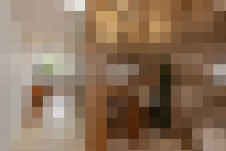 Appelgaarde 249 Voorburg thumbnail 34