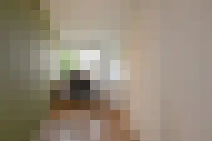 Appelgaarde 249 Voorburg thumbnail 36