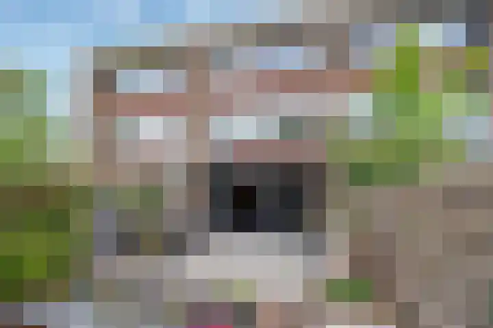 Appelgaarde 249 Voorburg thumbnail 38