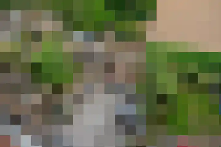 Appelgaarde 249 Voorburg thumbnail 43