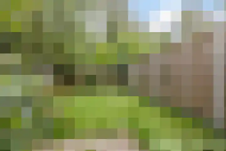 Appelgaarde 267 Voorburg thumbnail 10