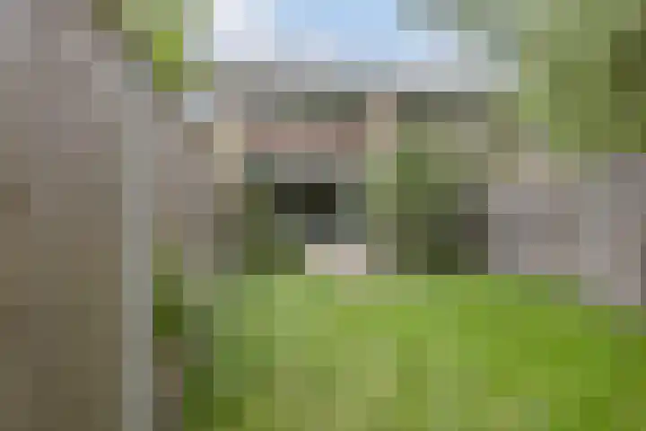 Appelgaarde 267 Voorburg thumbnail 11