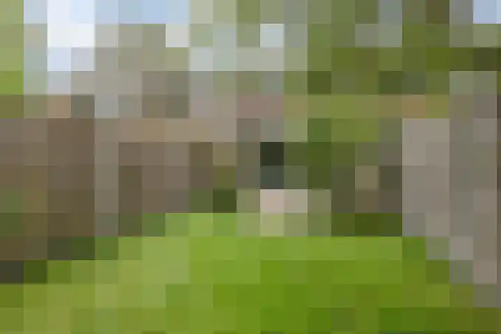 Appelgaarde 267 Voorburg thumbnail 12
