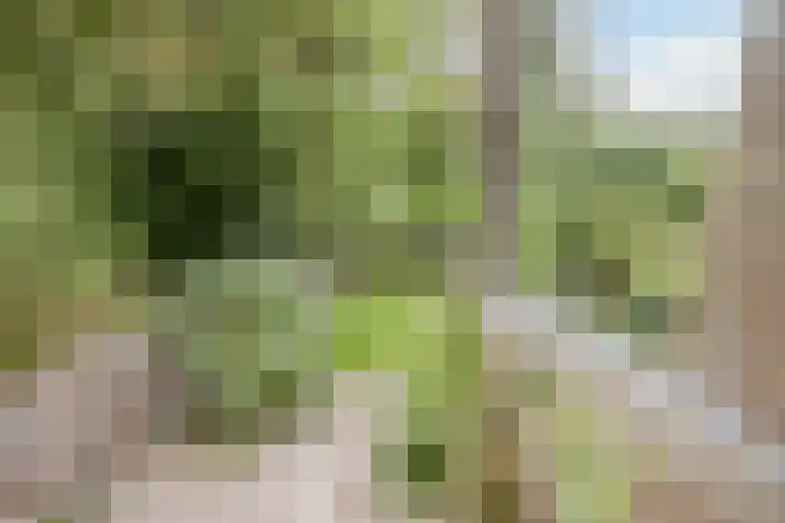 Appelgaarde 267 Voorburg thumbnail 23