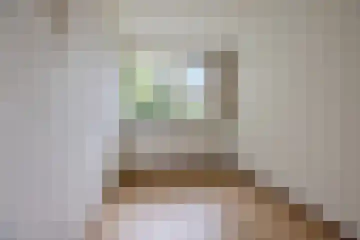 Appelgaarde 267 Voorburg thumbnail 24