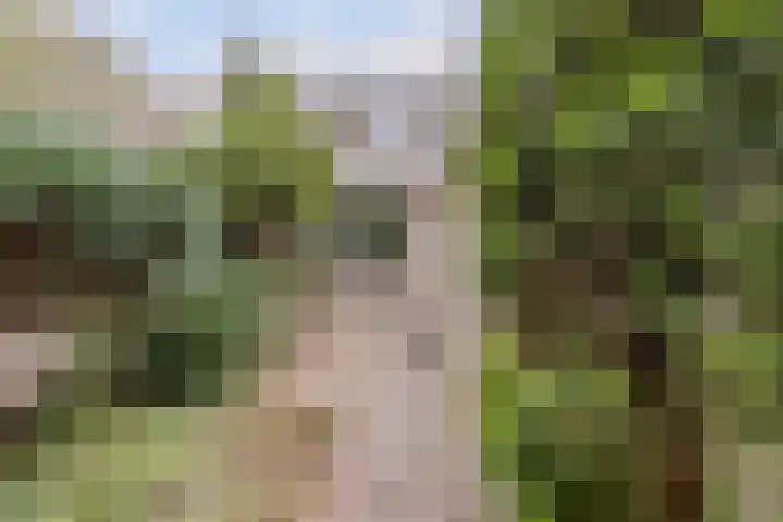 Appelgaarde 267 Voorburg thumbnail 26