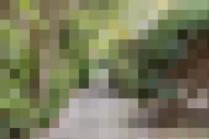 Appelgaarde 267 Voorburg thumbnail 27