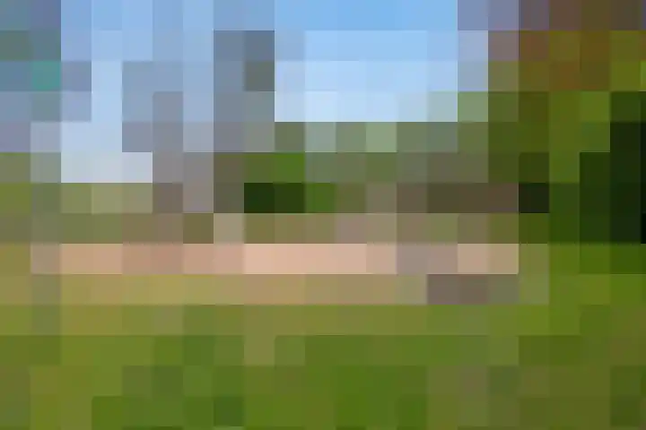 Appelgaarde 267 Voorburg thumbnail 29
