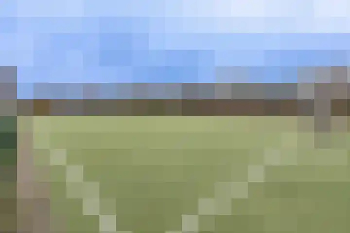 Appelgaarde 267 Voorburg thumbnail 30