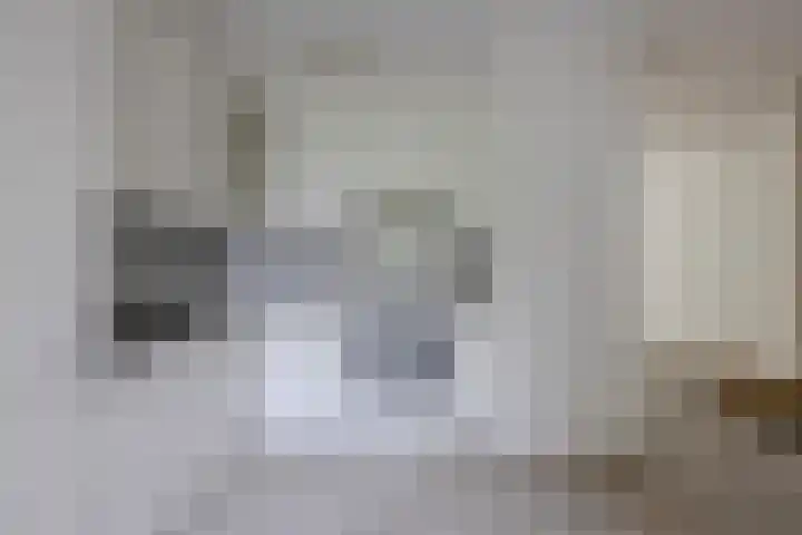 Appelgaarde 267 Voorburg thumbnail 4