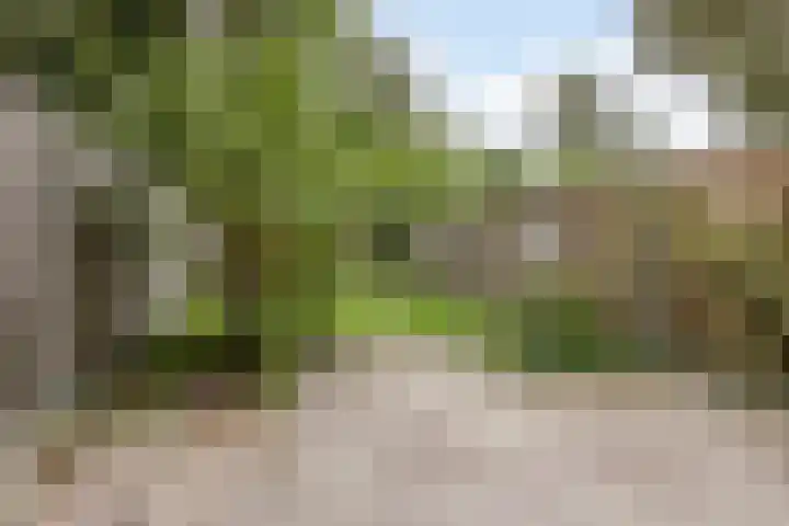 Appelgaarde 267 Voorburg thumbnail 9