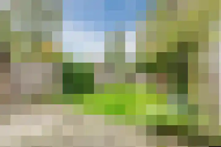 Appelgaarde 291 Voorburg thumbnail 13