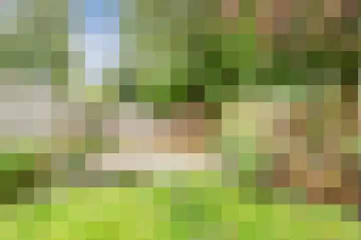Appelgaarde 291 Voorburg thumbnail 14
