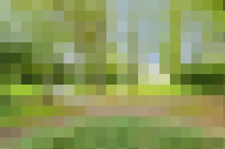 Appelgaarde 291 Voorburg thumbnail 30
