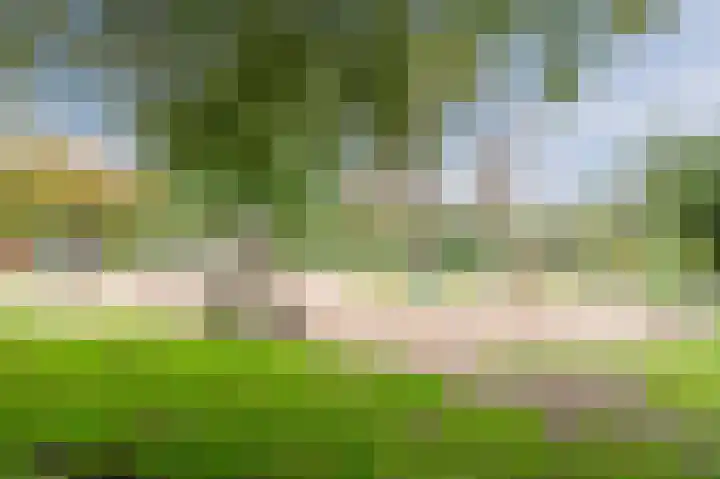 Appelgaarde 291 Voorburg thumbnail 31