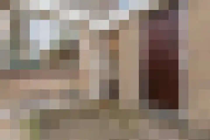 Appelgaarde 291 Voorburg thumbnail 33
