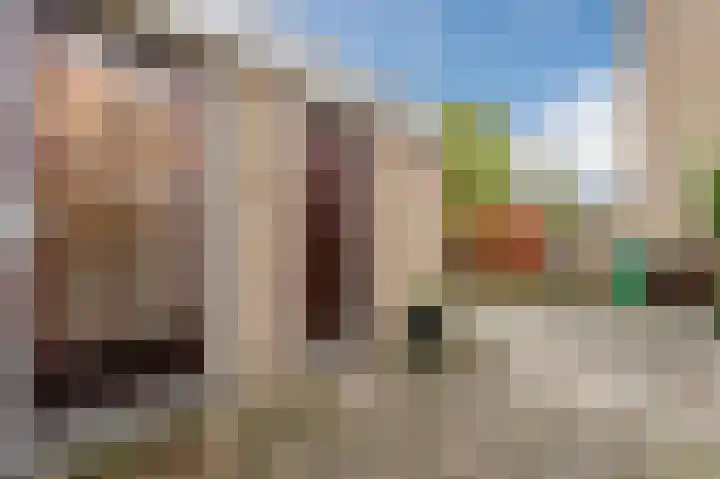 Appelgaarde 291 Voorburg thumbnail 34