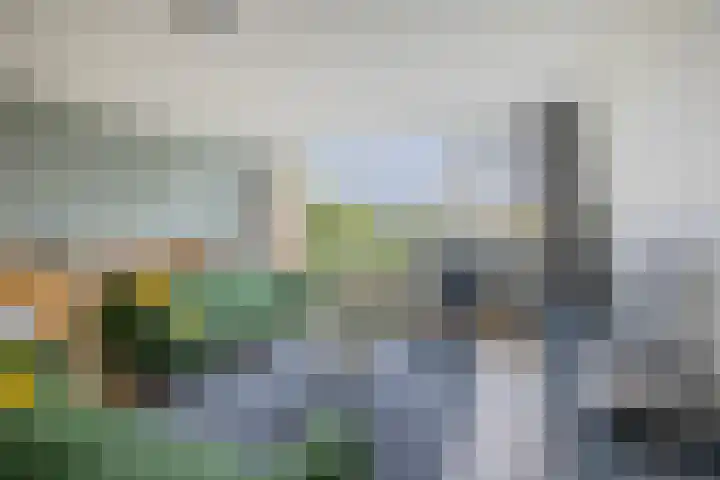 Appelgaarde 293 Voorburg thumbnail 12