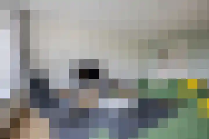 Appelgaarde 293 Voorburg thumbnail 13