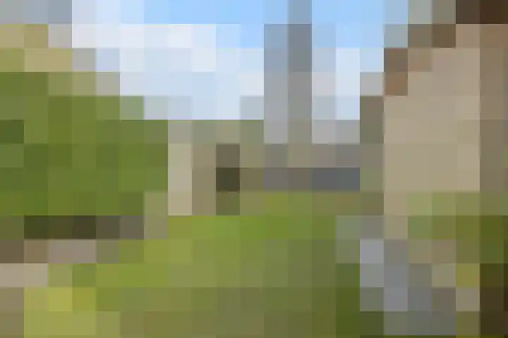 Appelgaarde 293 Voorburg thumbnail 17