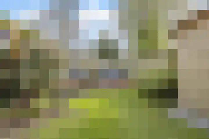 Appelgaarde 293 Voorburg thumbnail 18