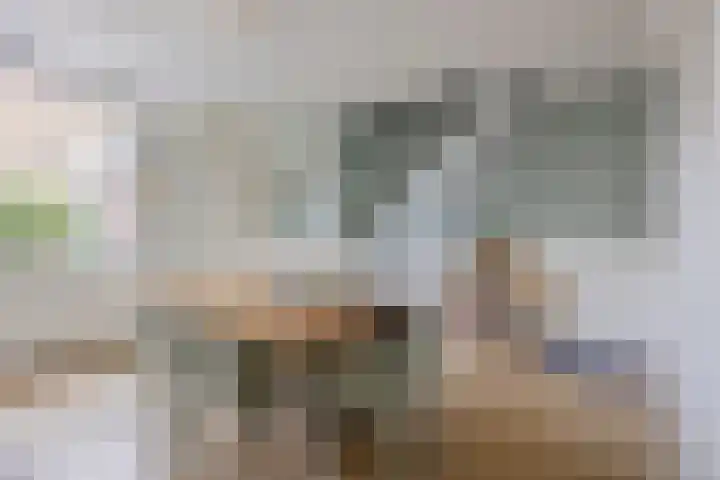 Appelgaarde 293 Voorburg thumbnail 22