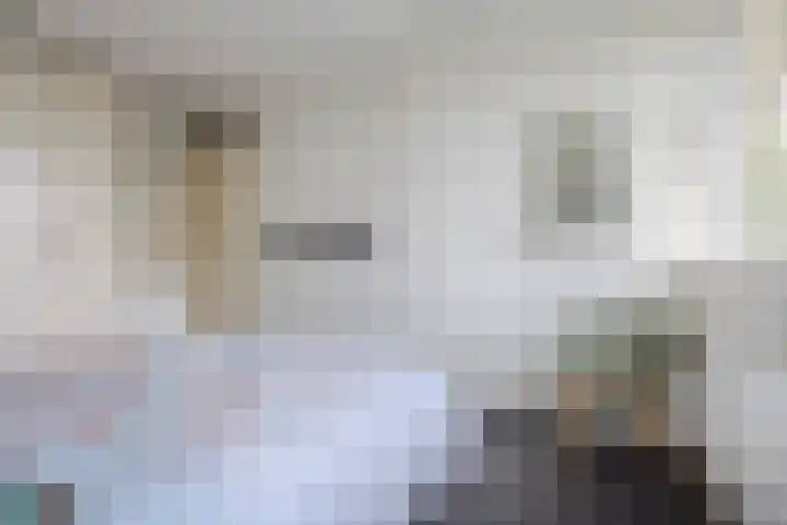 Appelgaarde 293 Voorburg thumbnail 26