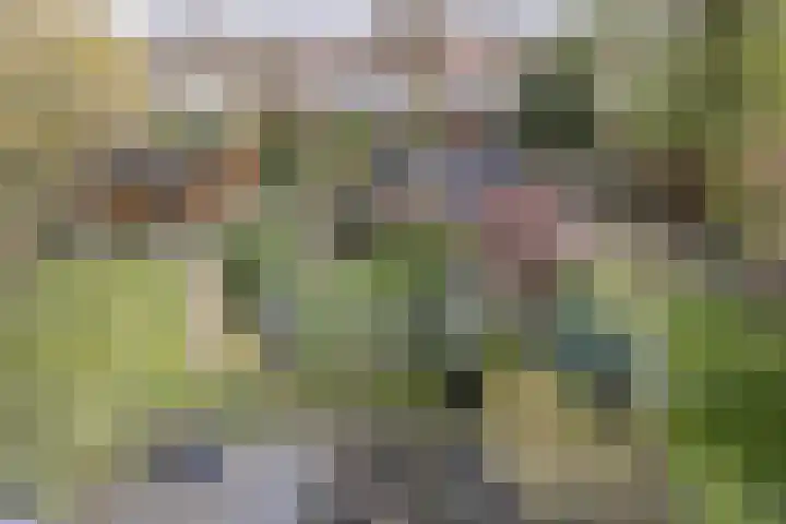 Appelgaarde 293 Voorburg thumbnail 27