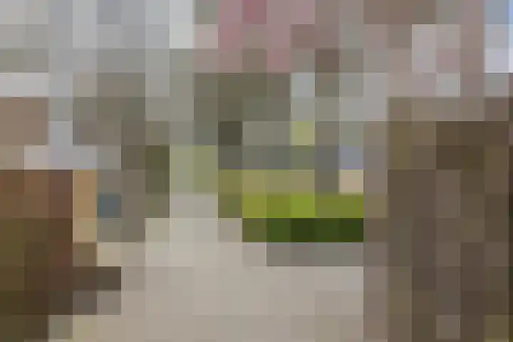 Appelgaarde 293 Voorburg thumbnail 35