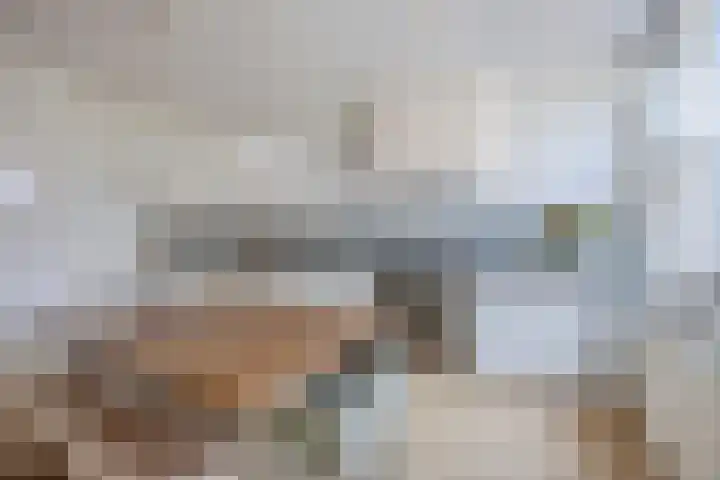Appelgaarde 293 Voorburg thumbnail 7
